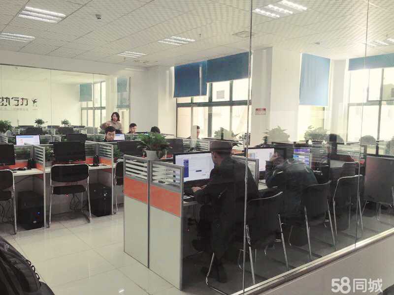 重庆网店托管